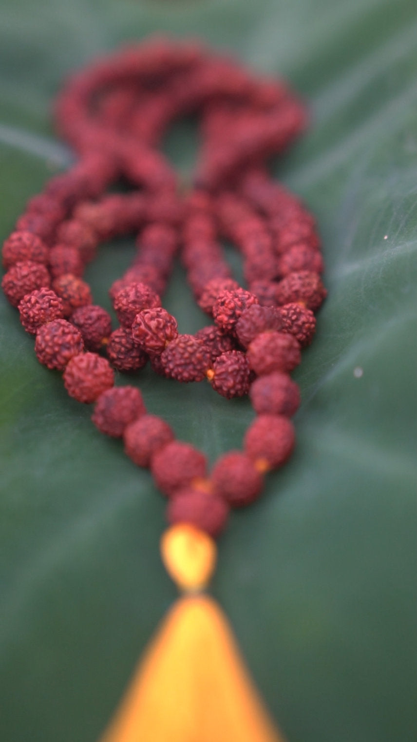 Japamala de Rudraksha Panchamukhi